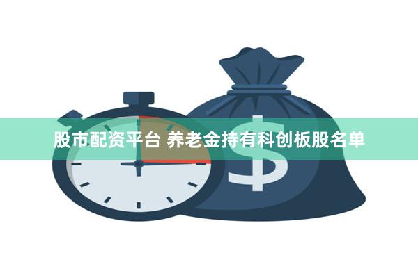 股市配资平台 养老金持有科创板股名单