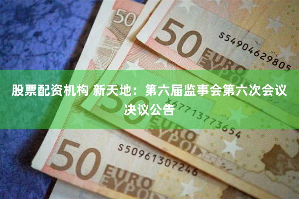 股票配资机构 新天地：第六届监事会第六次会议决议公告