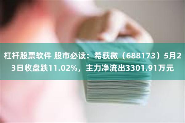 杠杆股票软件 股市必读：希荻微（688173）5月23日收盘跌11.02%，主力净流出3301.91万元