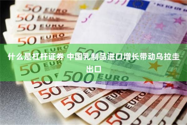 什么是杠杆证券 中国乳制品进口增长带动乌拉圭出口