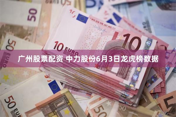 广州股票配资 中力股份6月3日龙虎榜数据
