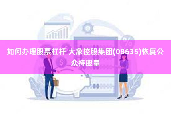 如何办理股票杠杆 大象控股集团(08635)恢复公众持股量