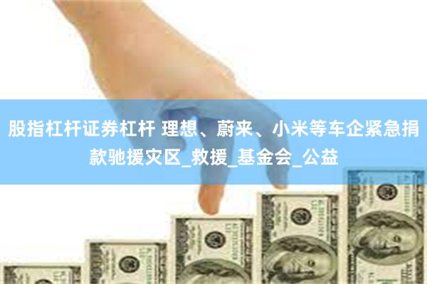 股指杠杆证券杠杆 理想、蔚来、小米等车企紧急捐款驰援灾区_救援_基金会_公益