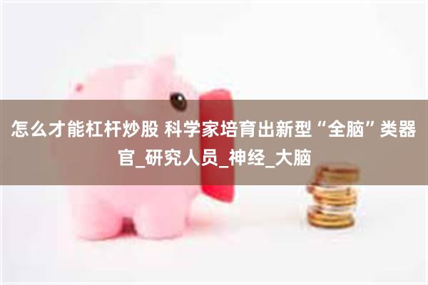 怎么才能杠杆炒股 科学家培育出新型“全脑”类器官_研究人员_神经_大脑