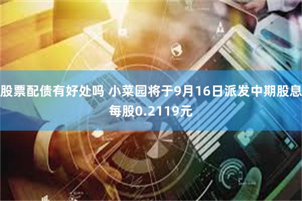 股票配债有好处吗 小菜园将于9月16日派发中期股息每股0.2119元