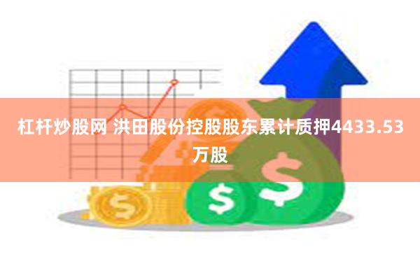 杠杆炒股网 洪田股份控股股东累计质押4433.53万股