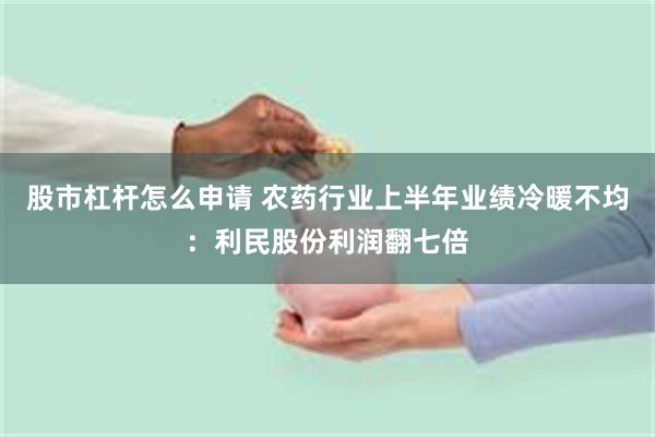 股市杠杆怎么申请 农药行业上半年业绩冷暖不均：利民股份利润翻七倍