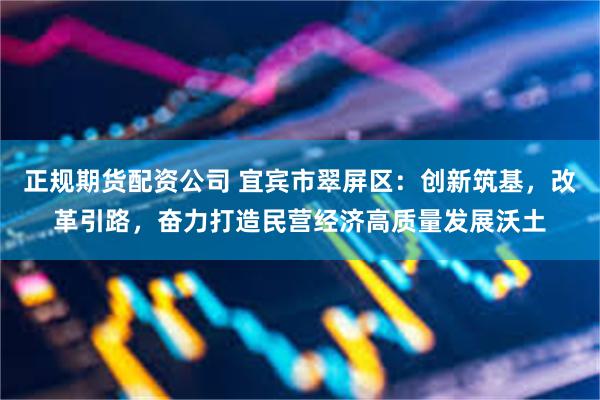 正规期货配资公司 宜宾市翠屏区：创新筑基，改革引路，奋力打造民营经济高质量发展沃土